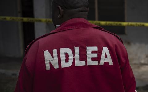 Read more about the article NDLEA Revises Visa Clearance Rule for Married Women After Public Backlash