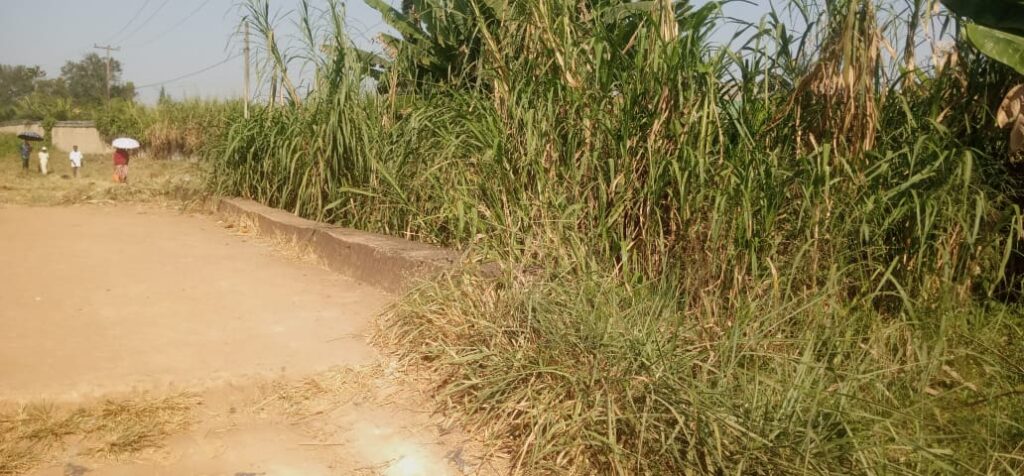 A bridge over a river in Ondo State.