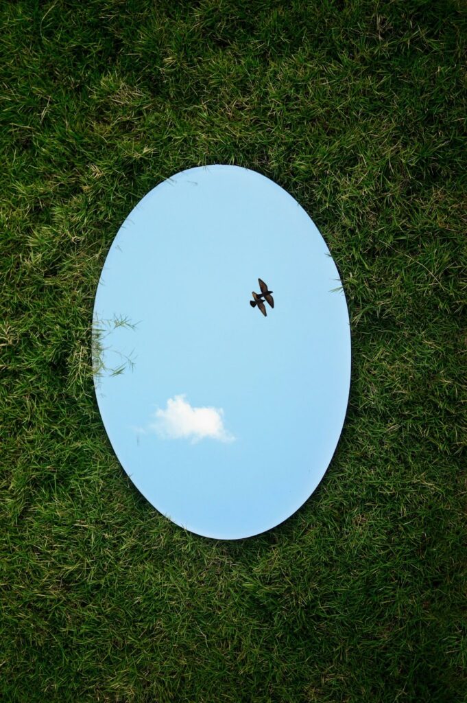 an image of a mirror