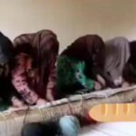 Terrorism Continues: Taliban Bans Women from Carpet Weaving Industry
