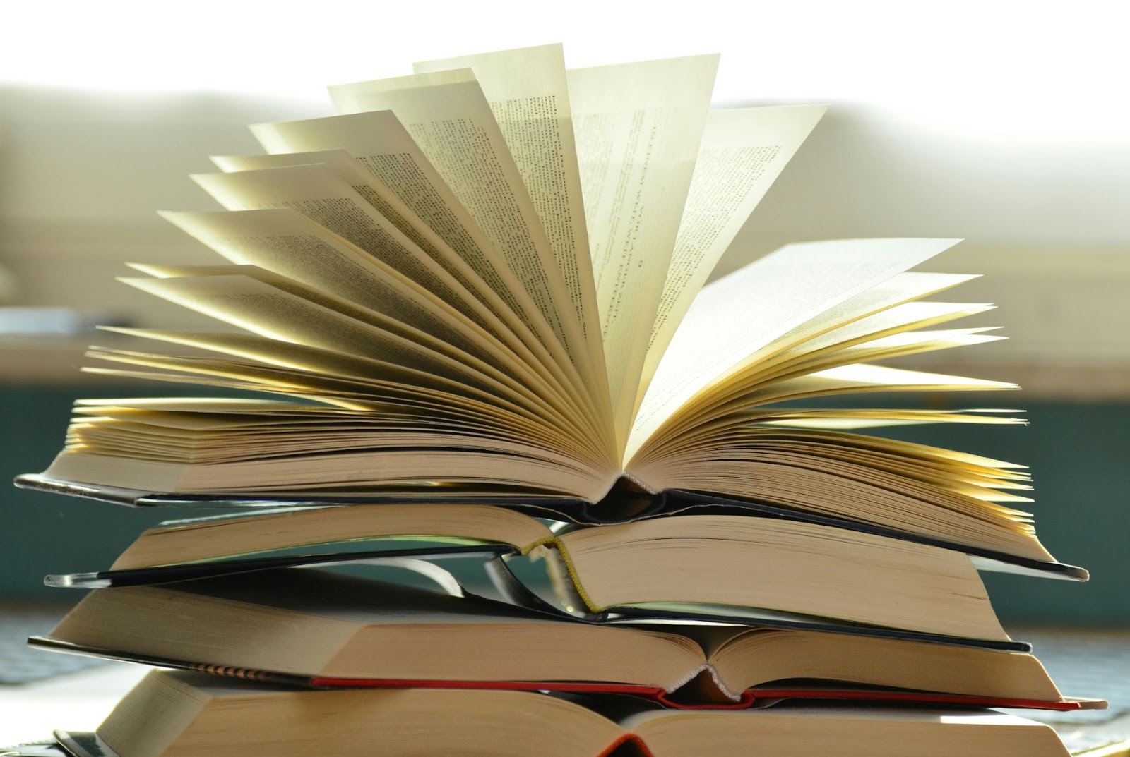 Read more about the article Your Next Favorite Read: Must-Read Nigerian Books 