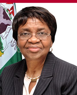 Read more about the article DG of NAFDAC, Mojisola Adeyeye, Reaffirms Commitment to Public Safety