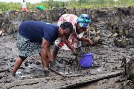 Women in the farm