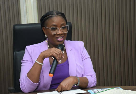 Minister of Women Affairs and Poverty Alleviation, Hon. Bolaji Cecilia Dada. Photo Source: bolajidada2024 on Instagram