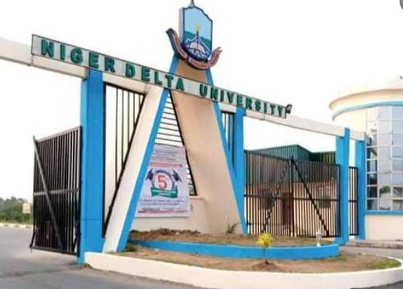 Niger Delta State University. Photo credit: Web