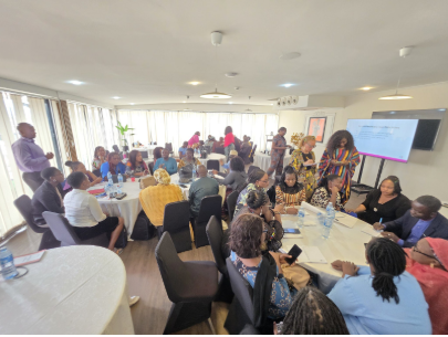 Validation exercise in Abuja. Photo source: BONews