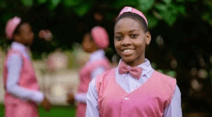Nigerian schoolgirl. Photo credit: web