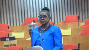 Screenshot of Senator Dr Ipalibo Banigo