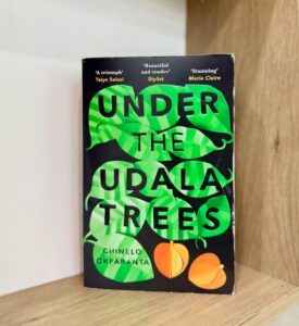 Under The Udala Trees by Chinelo Okparanta. Photo credit: Bookinduglence on IG