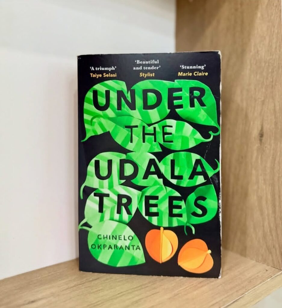 Under The Udala Trees by Chinelo Okparanta. Photo credit: Bookinduglence on IG