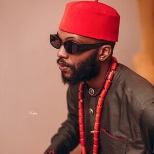 Read more about the article Nigerian X User Nwaeze Oyibo Apologises to Princess Eve Over False Sexual Claims