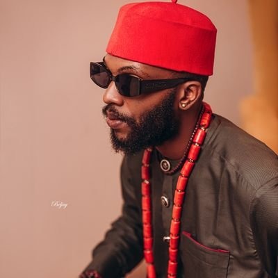 Read more about the article Nigerian X User Nwaeze Oyibo Apologises to Princess Eve Over False Sexual Claims