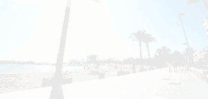 Read more about the article The Future Of Possible