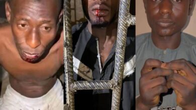 Photo collage of the three suspects arrested for killing a woman and her six children. Photo source: Nigeria stories on X