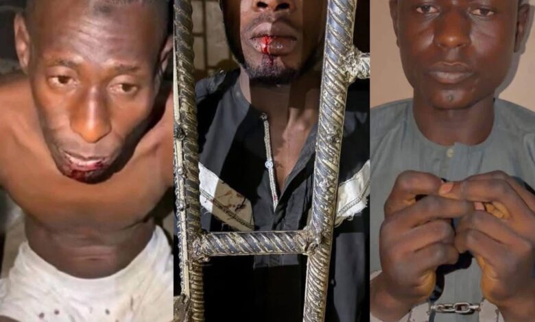 Photo collage of the three suspects arrested for killing a woman and her six children. Photo source: Nigeria stories on X