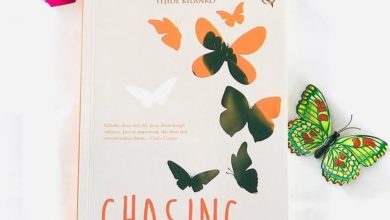 Chasing Butterflies by Yejide Kilanko. Photo credit: Booksellers on IG