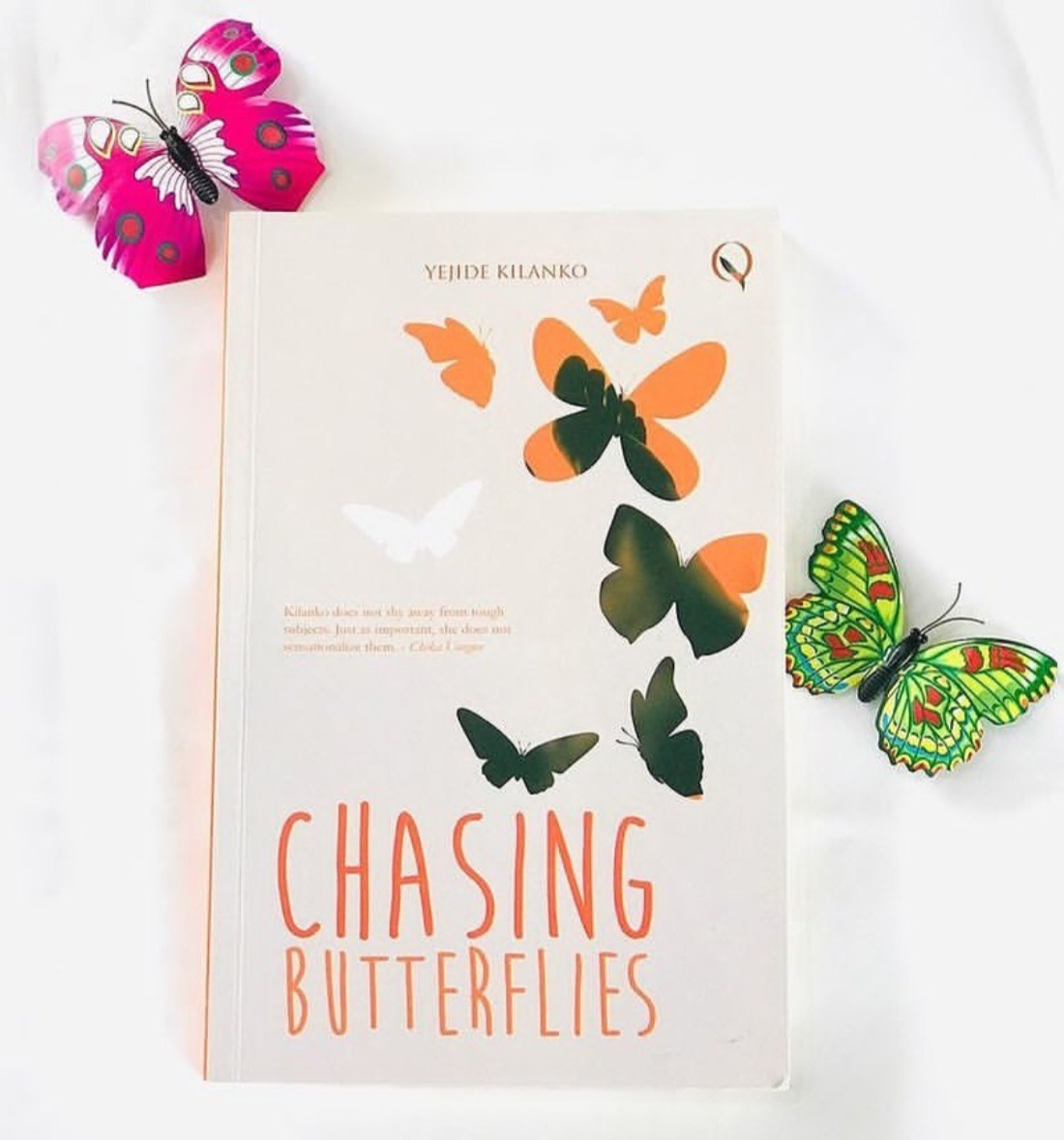 Chasing Butterflies by Yejide Kilanko. Photo credit: Booksellers on IG