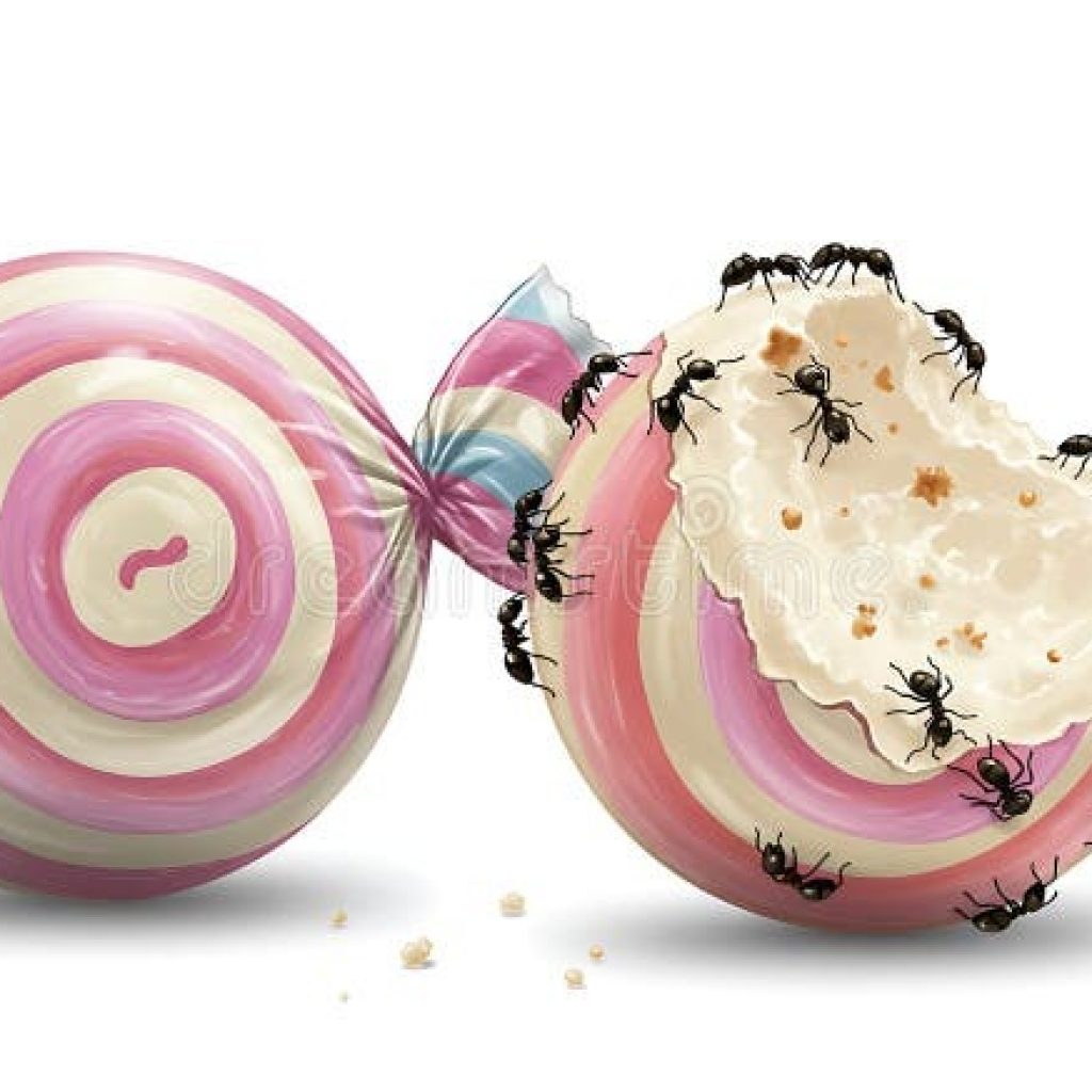 Why Everyone is so Invested in Women’s Vaginas 2 image 3