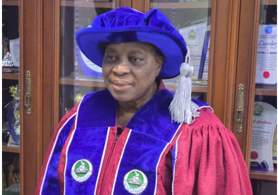 Pastor Folu Adeboye. Photo: Caleb University