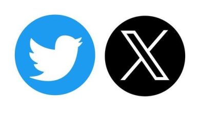 Naija Feminists Media Twitter Account Locked Amid SGBV Advocacy 2 Photo source: Vecteezy