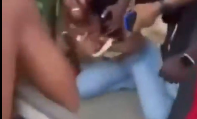 Photo Source: Screenshot From Videos