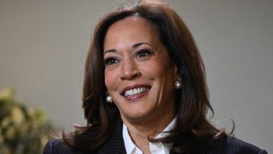 U.S former Vice President Kamala Harris. Photo credit: Web 