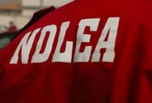 NDLEA. Source: Cable