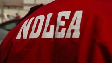 NDLEA. Source: Cable