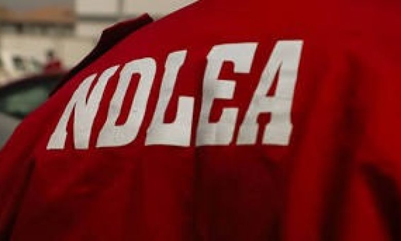 NDLEA. Source: Cable