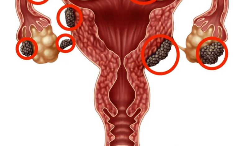 Photo Source: One HealthCare