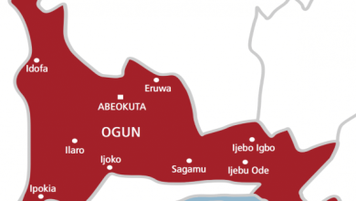 Photo Source: The Guardian Nigeria News