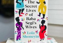 The Secret Lives of Baba Segi