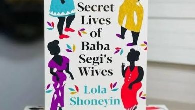 The Secret Lives of Baba Segi