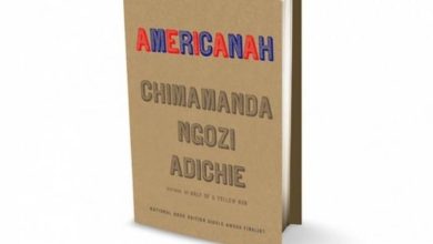 Americanah By Chimamanda Ngozi Adichie. Photo credit: Web