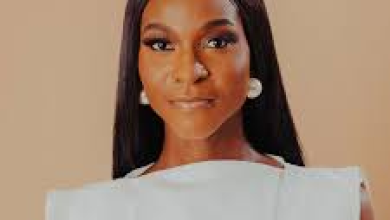 Titilola Vivour-Adeniyi, Executive Secretary of the Lagos State Domestic and Sexual Violence Agency. Photo Source: Instagram