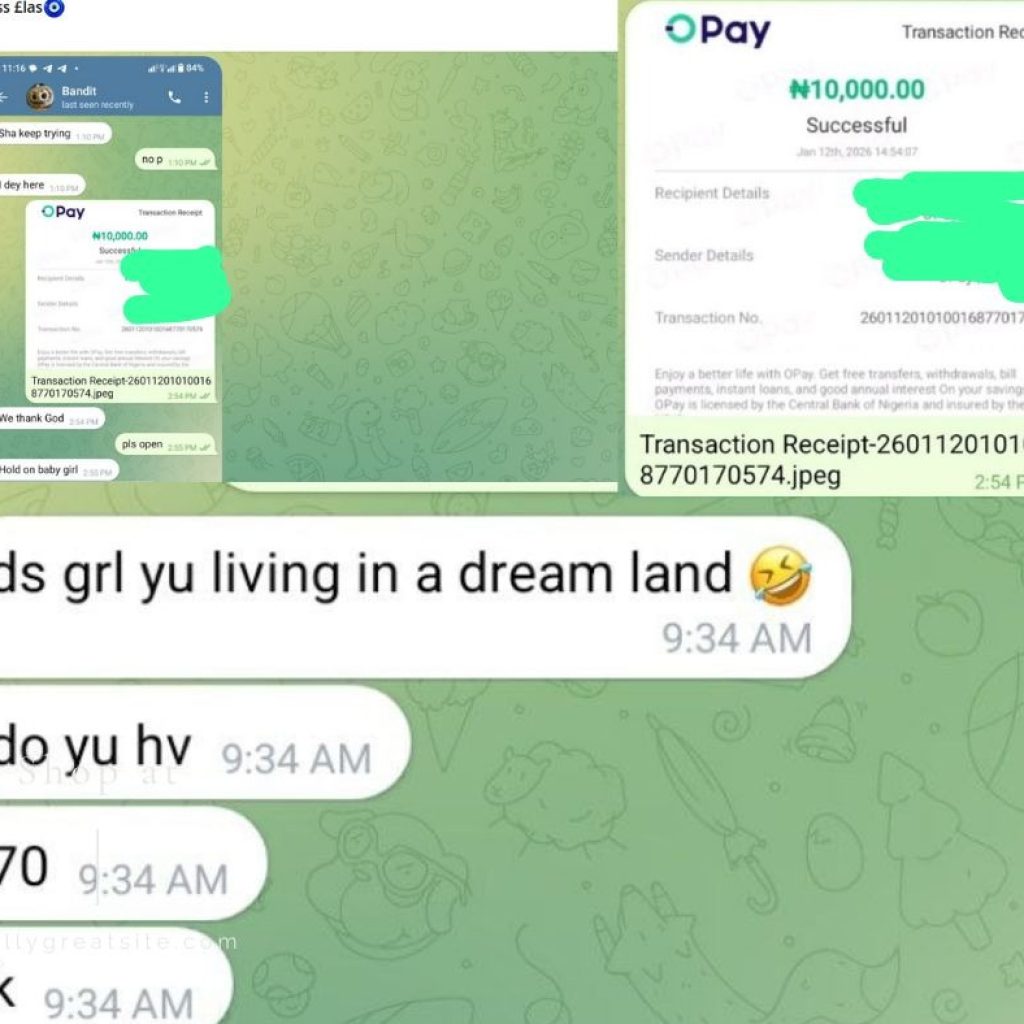 How Telegram's regulatory failures, misinformation fuel prostitution in Nigeria 4 image 3