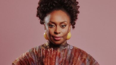 Chimamanda Adichie Accuses Euracare Hospital of Obstructing Inquest into Son's Death