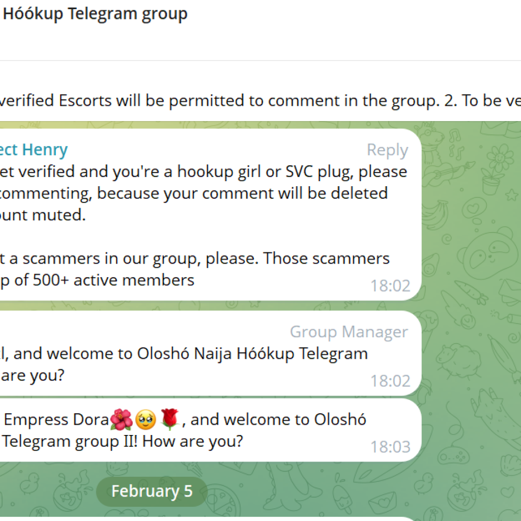 How Telegram's regulatory failures, misinformation fuel prostitution in Nigeria 12 image 5