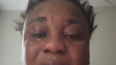 Screenshot of the Video