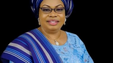 Osun 2026 Governorship Race: Underrepresentation Sparks with Yemisi Adeagbo, Only Woman in Race