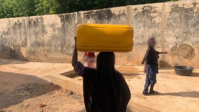 NFM’s Investigation on Girl-Child Labour in Sokoto Sparks Reactions, Readers Urge State Intervention 3 NFM’s Investigation on Girl-Child Labour in Sokoto Sparks Reactions, Readers Urge State Intervention