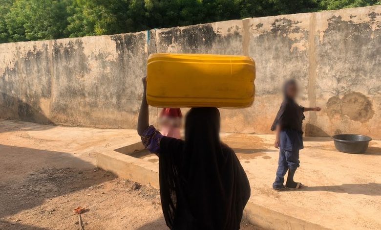NFM’s Investigation on Girl-Child Labour in Sokoto Sparks Reactions, Readers Urge State Intervention