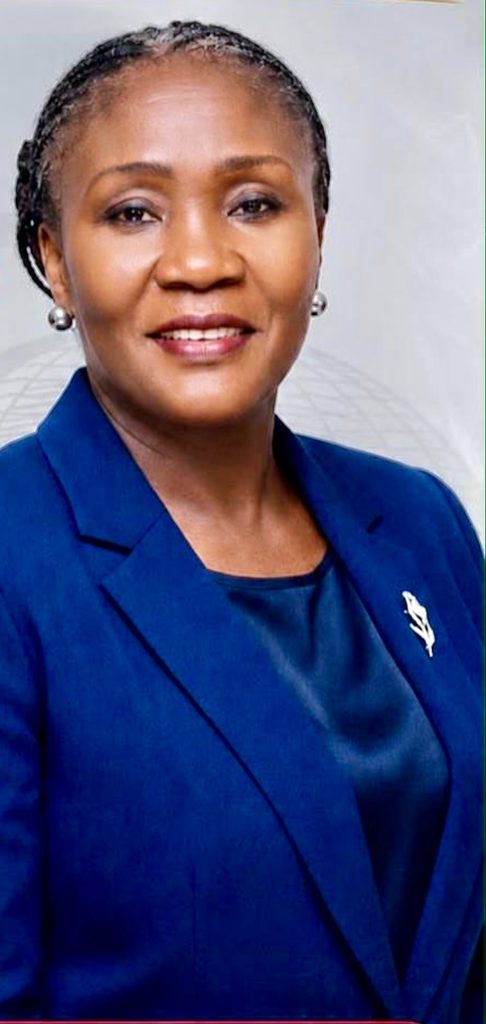 INEC Head of Voter Education, Esther Emeh, Urges Nigerians to Protect Electoral Integrity 2 image 84