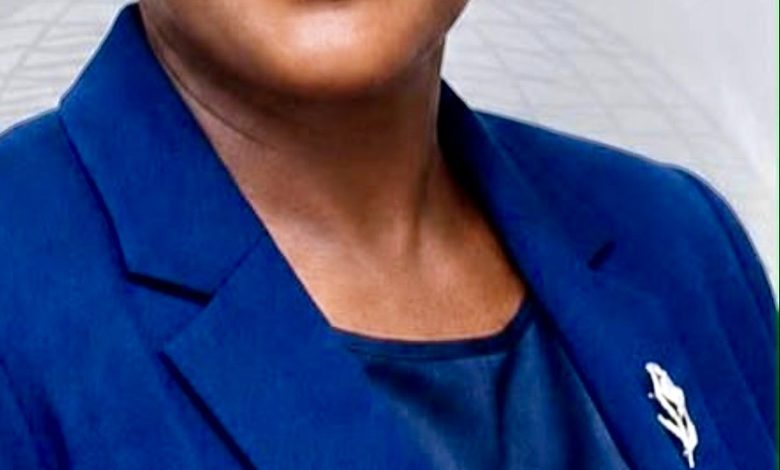 INEC Head of Voter Education, Esther Emeh, Urges Nigerians to Protect Electoral Integrity