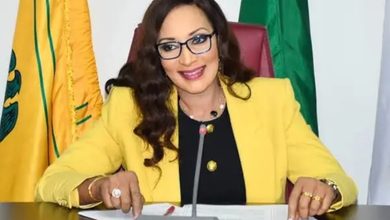 Bianca Odumegwu-Ojukwu Receives Diplomatic Leadership Award at De Pinnacle International’s 10th Anniversary