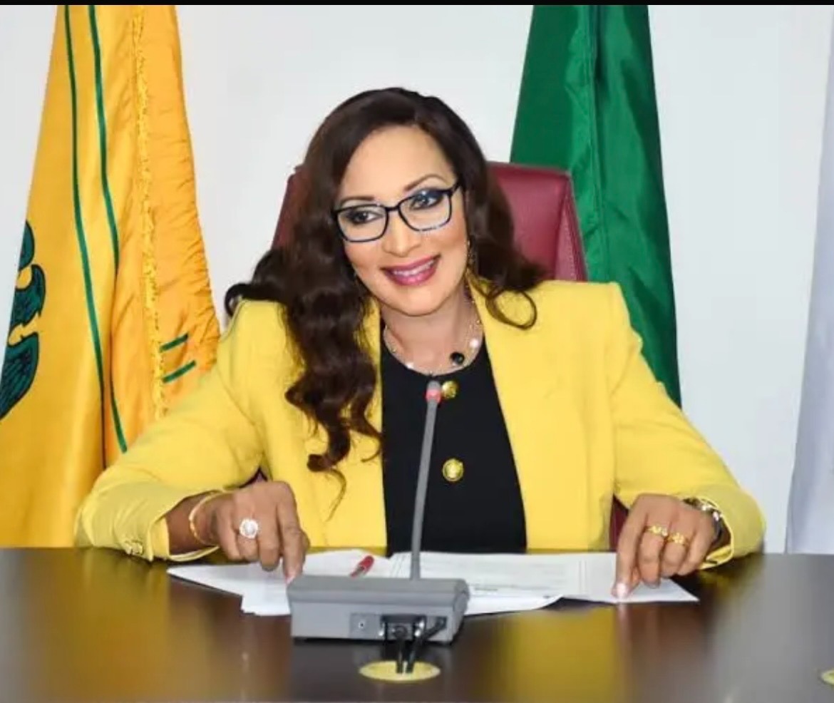 Bianca Odumegwu-Ojukwu Receives Diplomatic Leadership Award at De Pinnacle International’s 10th Anniversary