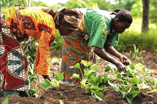 International Day of Rural Women: They Feed the Nation, but Who Owns the Land?