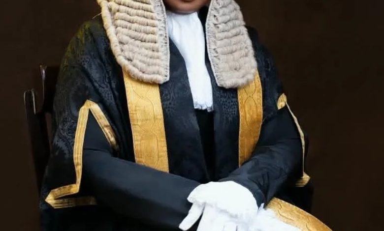 Olamide Ehinfun-Adekunle Becomes Nigeria’s Youngest Female SAN at 40